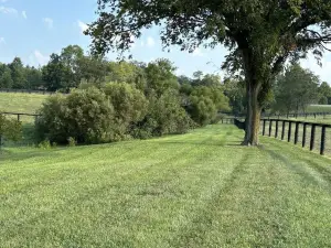 New 2-bedroom farmhouse on 23 acres of pasture, part of a working horse farm.