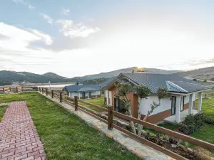 Tolstoy'un Bisikleti Otel
