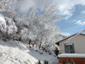 Cozy Apartament Near Redbull Ring and Prabichl