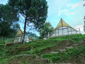 Cimon Urban Camp