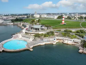 Fox on the Hoe