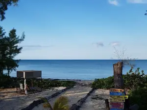 Andros Treazure