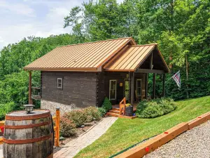 Long Valley Lights Cabin - Amazing View & 2 min. to the Blue Ridge Parkway