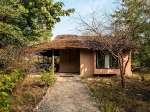 Jim's Jungle Retreat