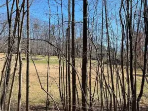 Beautiful 2 BR 1 BA Cabin in Blue Ridge Mountains: The Little White House
