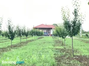Villa Sladjana