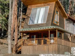 Bungalow in Nature Near Dipsiz Lake