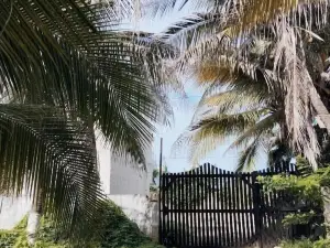 Azul príncipe