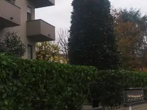 Civico 51Appartamento a Sassuolo