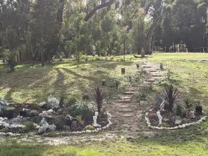 Australian Wildlife At Your Door