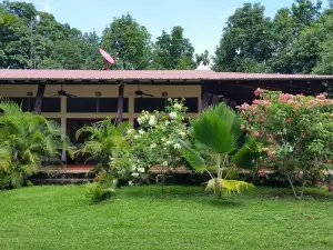 Large 3 bedroom house just 5 minutes from Chinandega