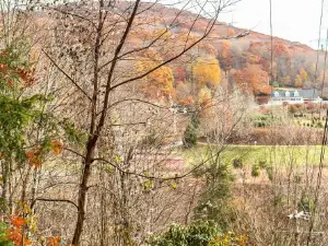 Sugar Mountain Serenity