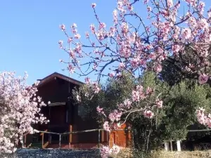 Casa la Colina Mandarina I