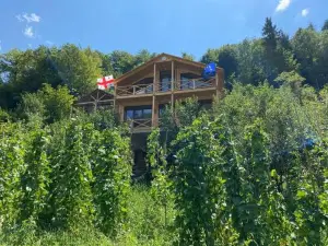 Guest House Okropilauri
