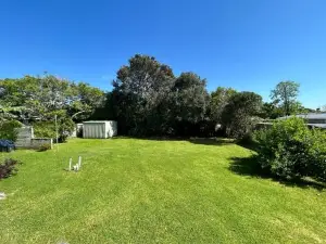 Kiwi Classic
