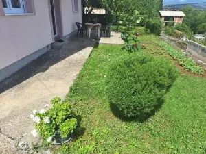 Apartmani Ruža