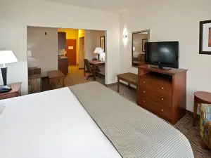 Holiday Inn Express & Suites Ripley
