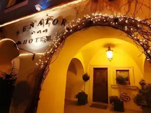 Hotel Senator