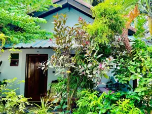 Diyakawa Hotel