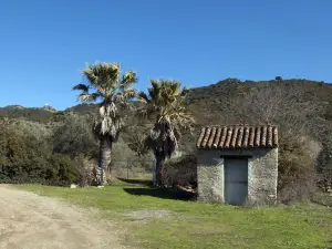 B&B Su Semucu