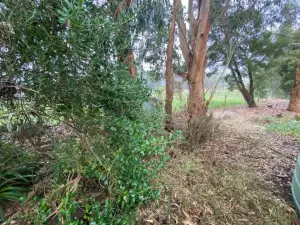 Richo’s Retreat, 1 Bed Unit Near Great Ocean Road