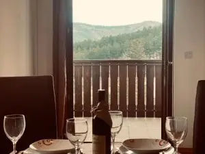 Apartmani Vila Goč