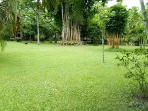 Sdd Bamboo Village Resort