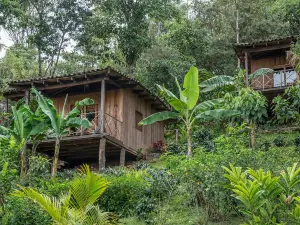 Finca Esperanza Verde