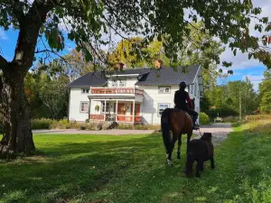 Charming 6 Bedroom House & Horse Farm - Sleeps 12