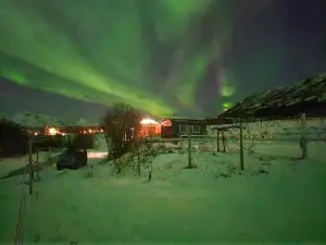 Storjord Farmstay Glamping