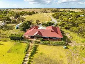Condor Estate Spacious with Vineyard & Fireplace