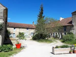 La Cour - new bright and super equipped gite.