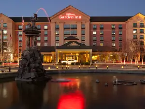 Hilton Garden Inn Atlanta Airport/Millennium Center