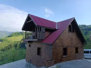 Diamond Tree House