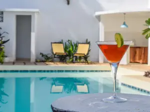 塞伊達水療酒店