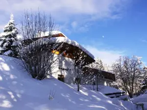 การ์นี บิอังกาเนเว