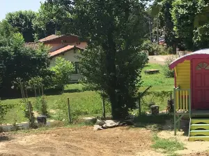 Une Bouteille au Canal