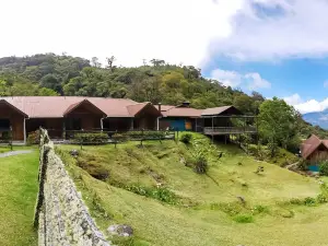 Tree Trek Boquete Adventure Park