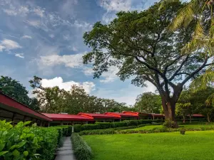 Hacienda Guachipelin Volcano Ranch Hotel & Hot Springs