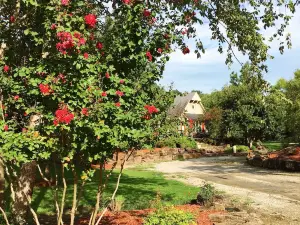 BarDew Valley Inn
