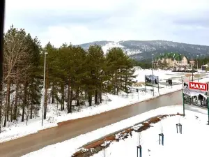 Lexi Borovi Apartman