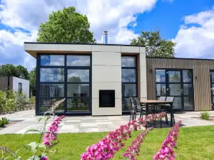 Luxury chalet near the IJssel