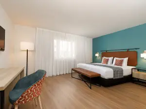 เอ็กซ์ เวียนนา