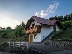 Vineyard Cottage Krivic