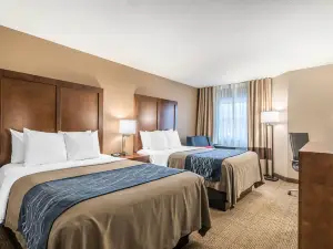 コンフォート イン コンコード サウス エンド