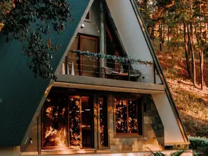 Tiny Pines Glamping