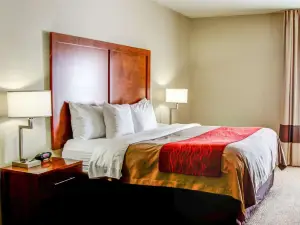 Comfort Inn Bessemer Birmingham South