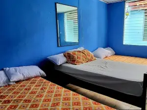 Hostal Cisne House