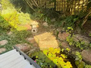 Tranquil Japanese-Gardens Retreat