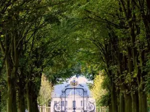 Paradis Fleuri et Son Bain Nordique